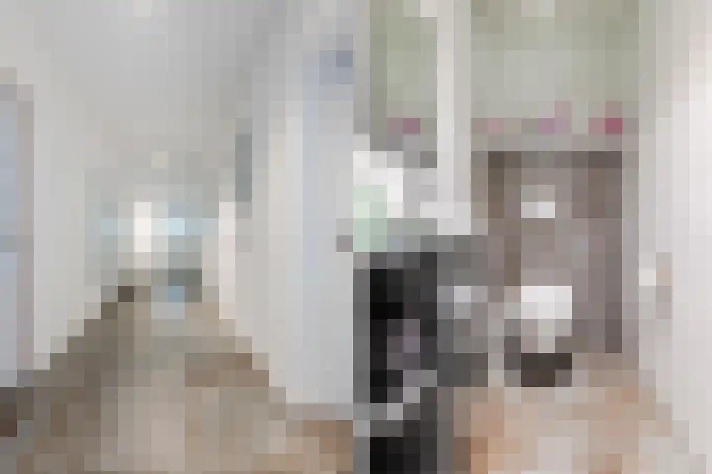 Rijksweg 32 Herten thumbnail 10