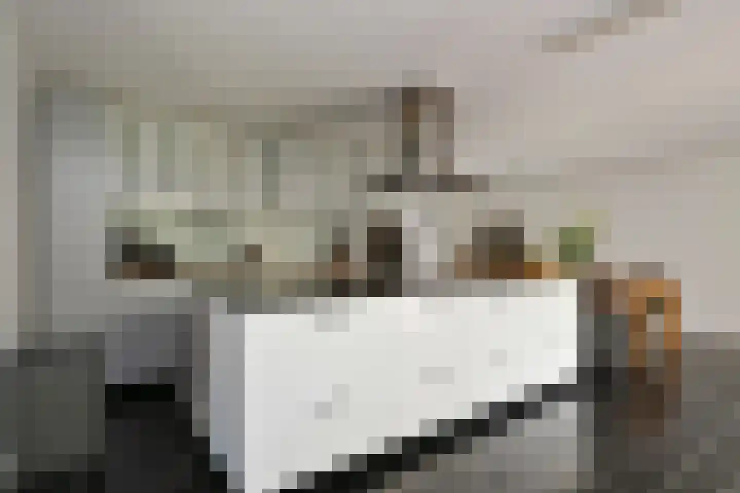 Rijksweg 32 Herten thumbnail 16