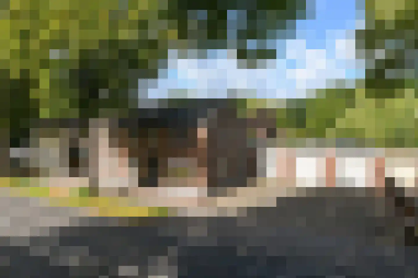 Rijksweg 32 Herten foto 3
