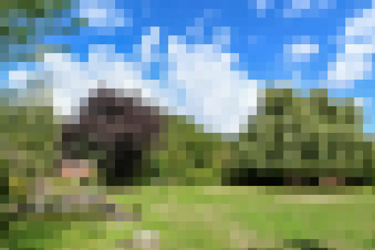 Rijksweg 32 Herten thumbnail 41
