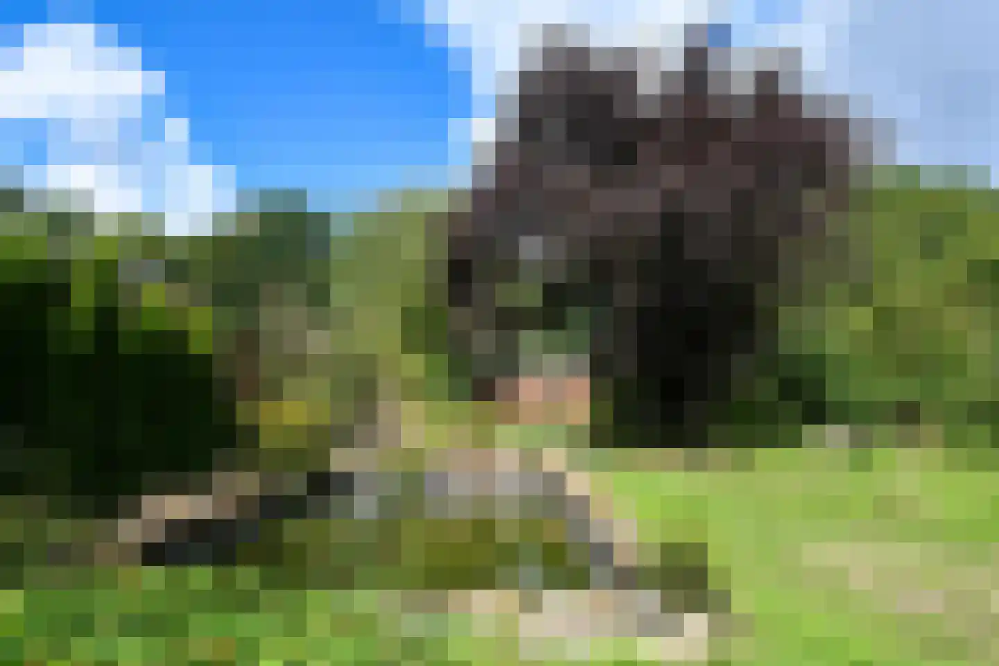Rijksweg 32 Herten thumbnail 43
