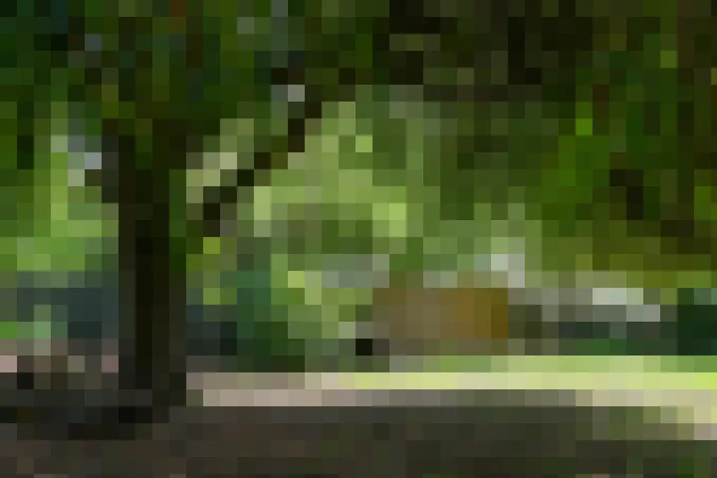 Rijksweg 32 Herten thumbnail 47