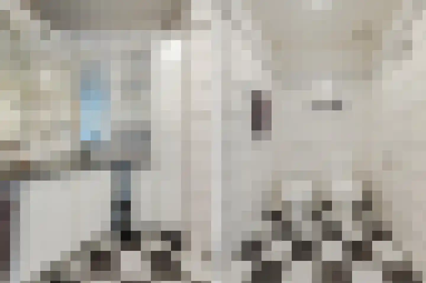 Rijksweg 32 Herten thumbnail 49