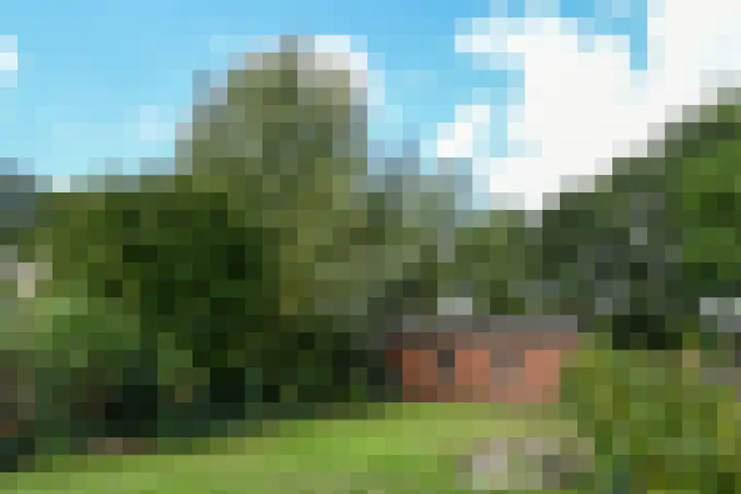 Rijksweg 32 Herten thumbnail 49