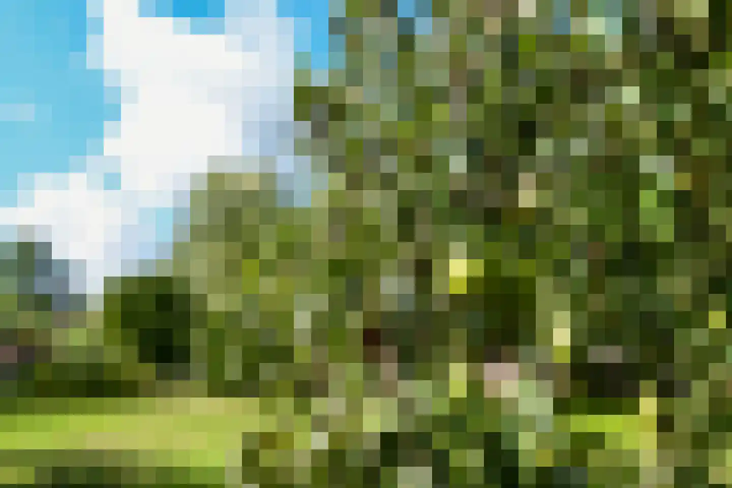 Rijksweg 32 Herten thumbnail 52