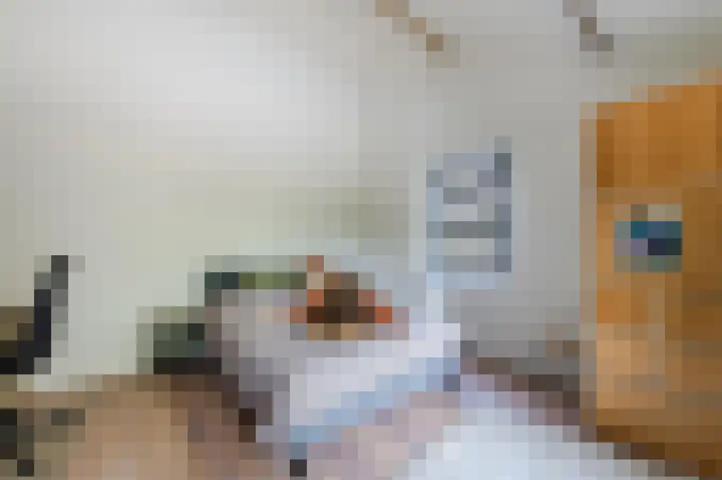 Rijksweg 32 Herten thumbnail 55
