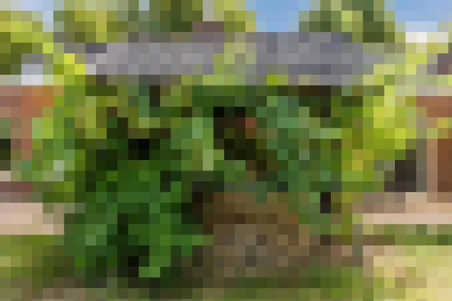 Rijksweg 32 Herten thumbnail 72