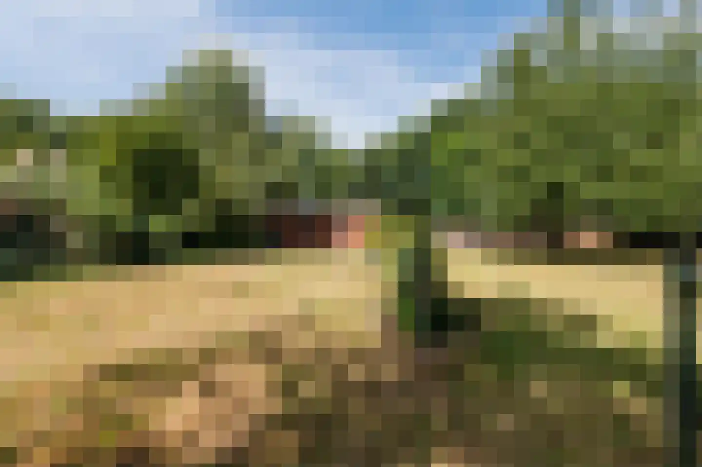 Rijksweg 32 Herten thumbnail 73