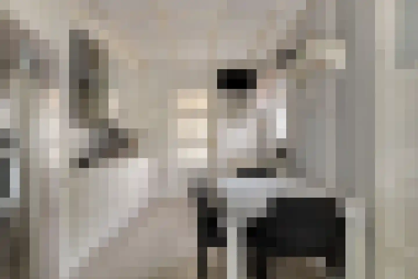 Rijksweg 36 Dorst thumbnail 14
