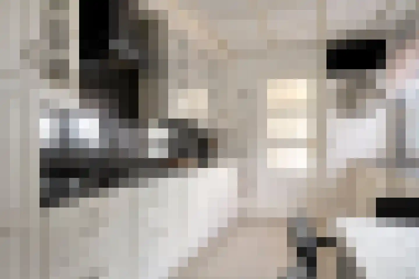 Rijksweg 36 Dorst thumbnail 17
