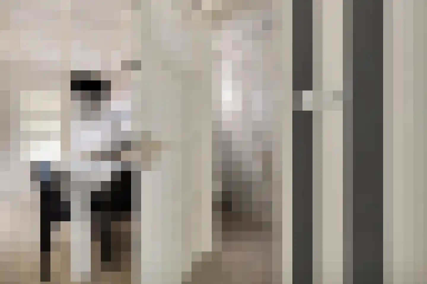 Rijksweg 36 Dorst thumbnail 19