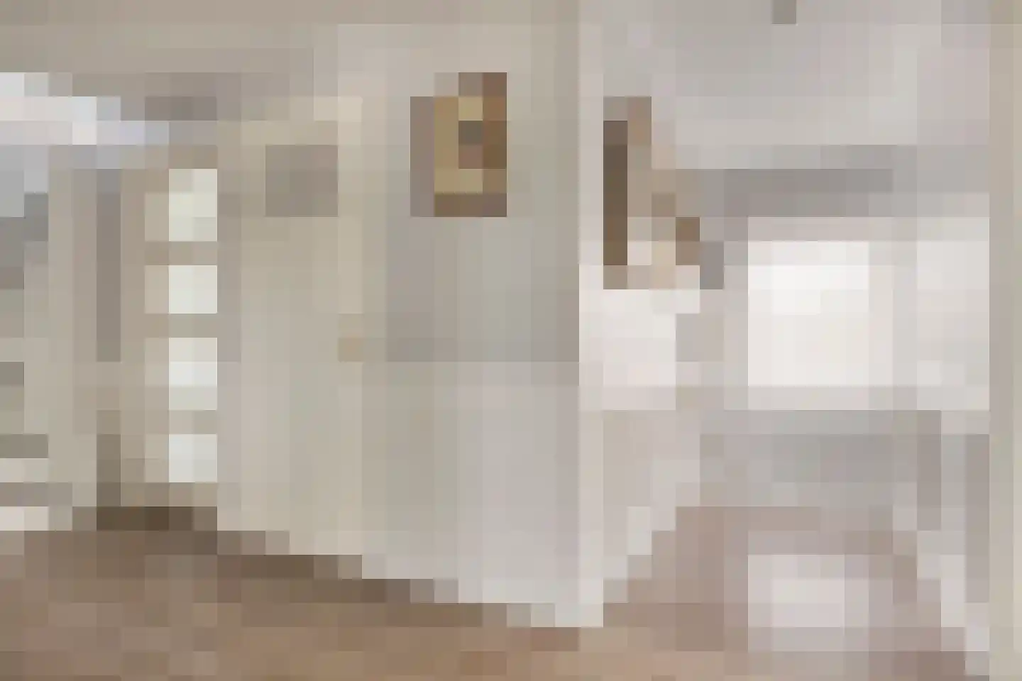 Rijksweg 36 Dorst thumbnail 24