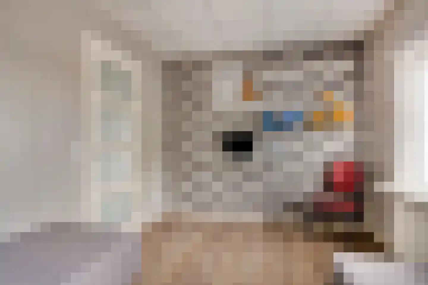 Rijksweg 36 Dorst thumbnail 30