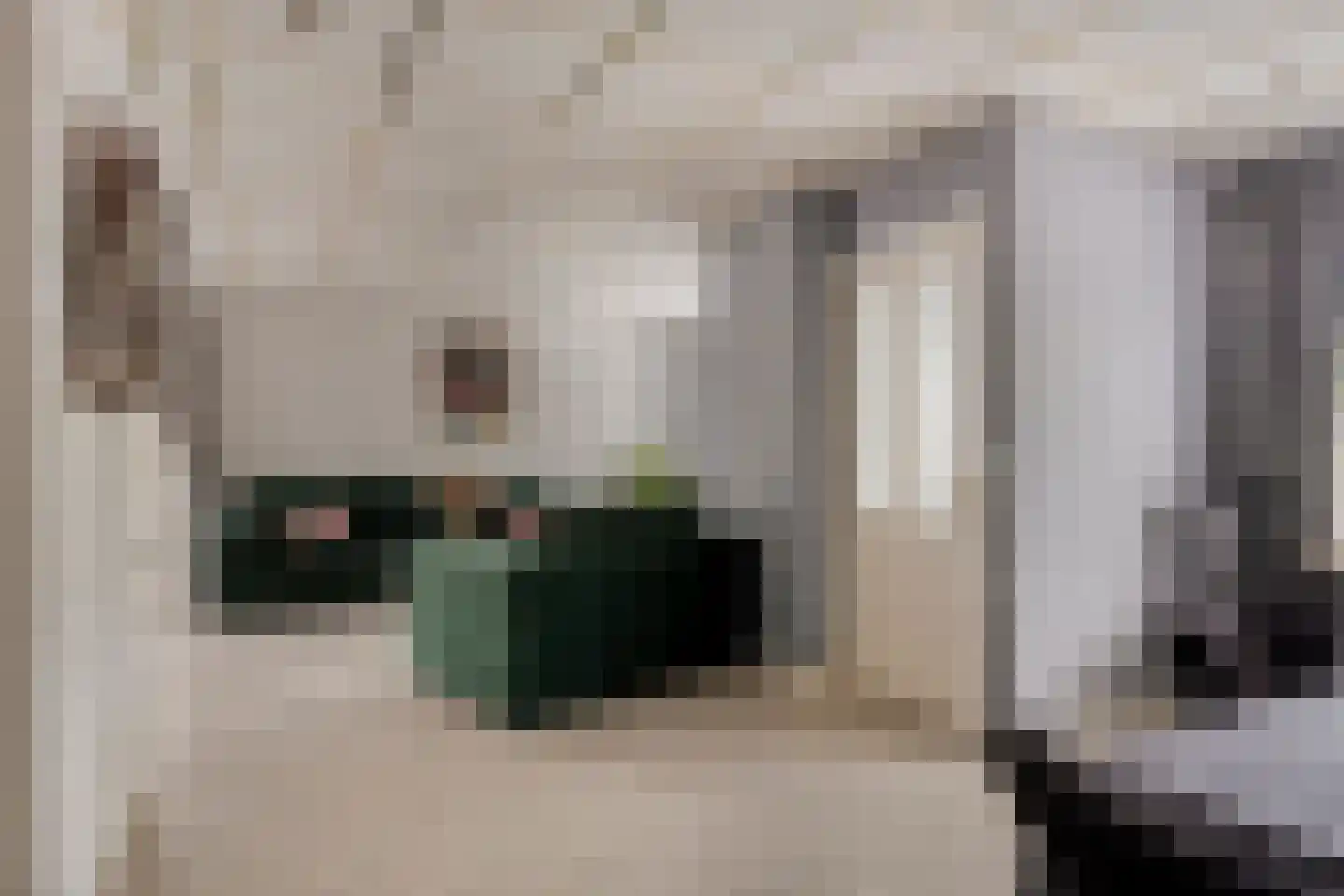 Rijksweg 36 Dorst thumbnail 4