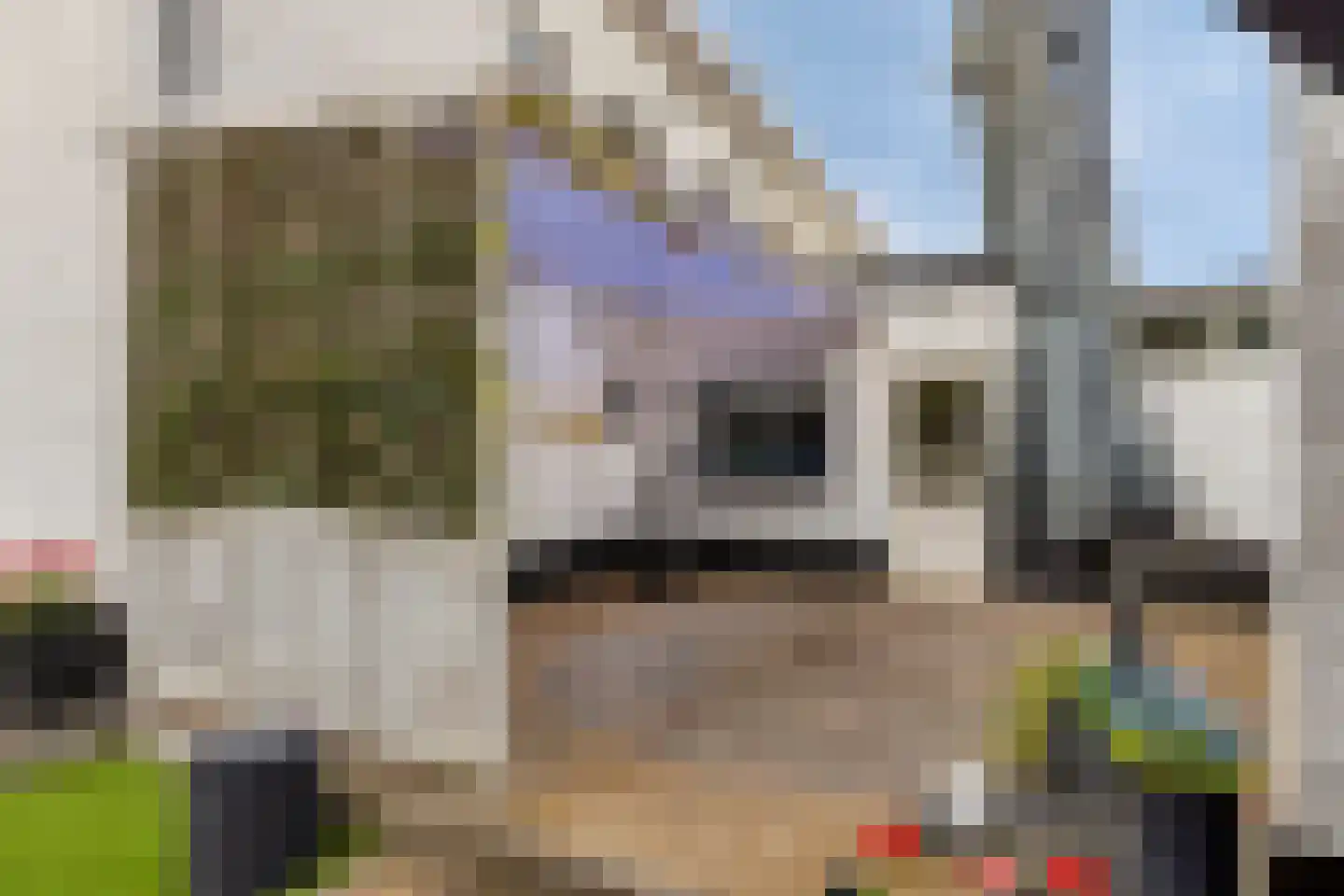 Rijksweg 36 Dorst thumbnail 44