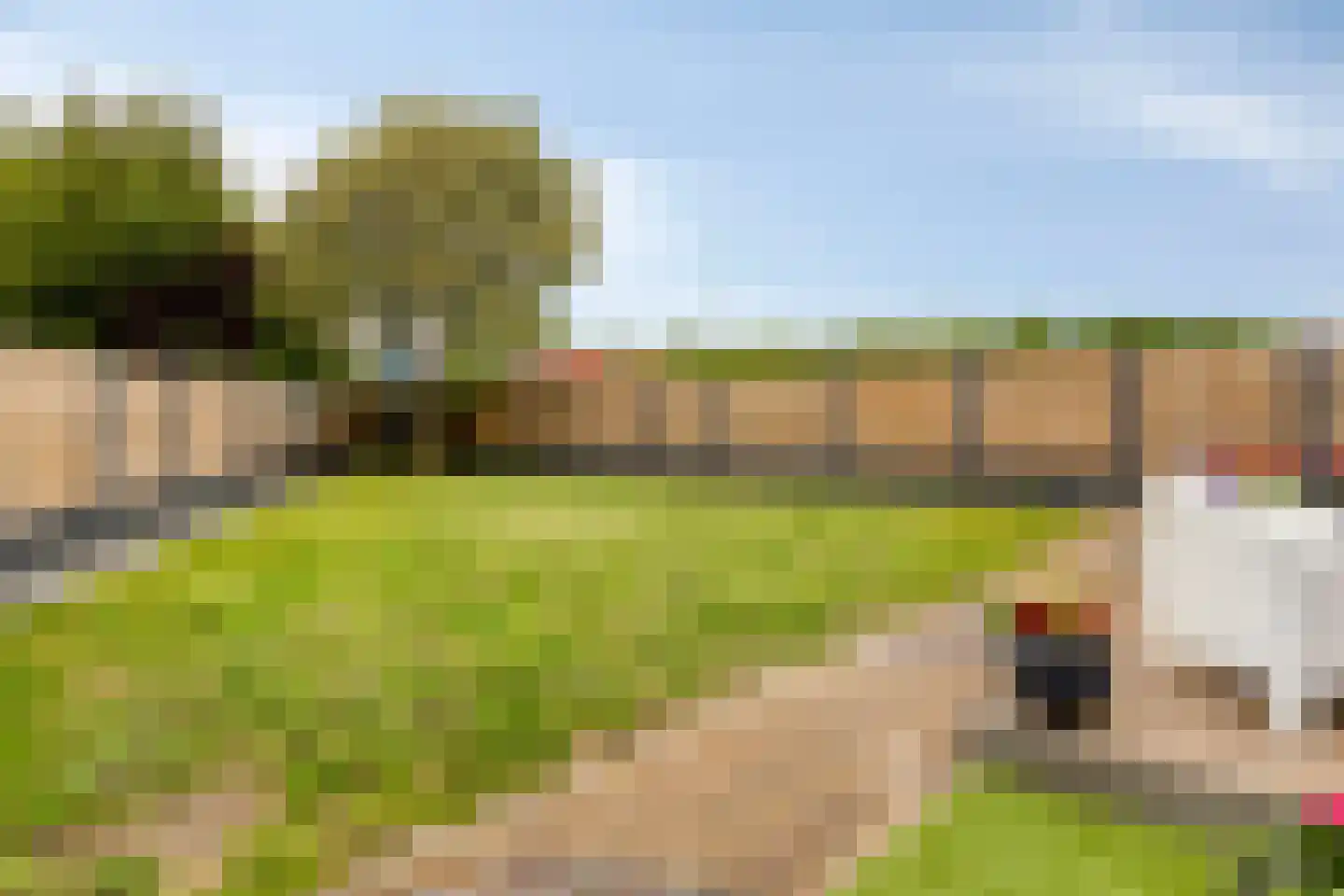 Rijksweg 36 Dorst thumbnail 48