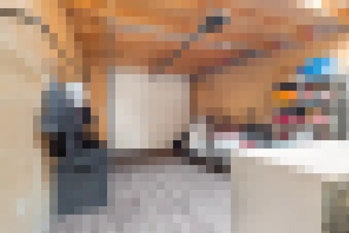Rijksweg 38 Limmen thumbnail 33