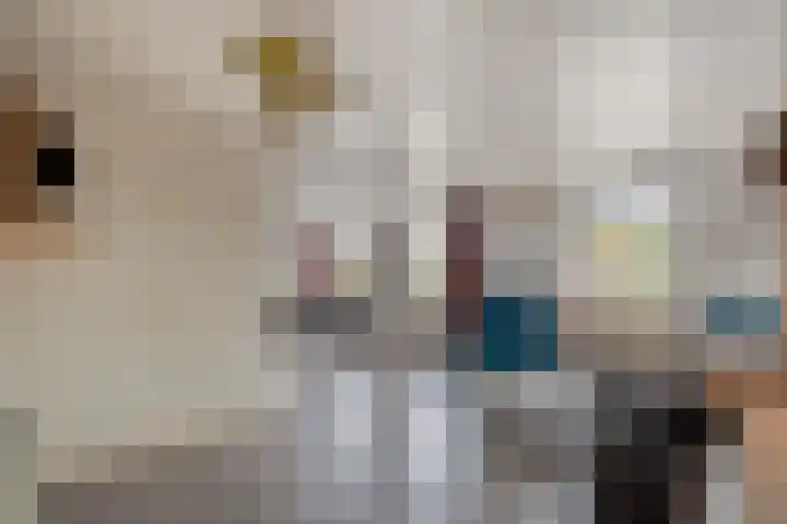 Rijksweg 38 Uffelte thumbnail 13