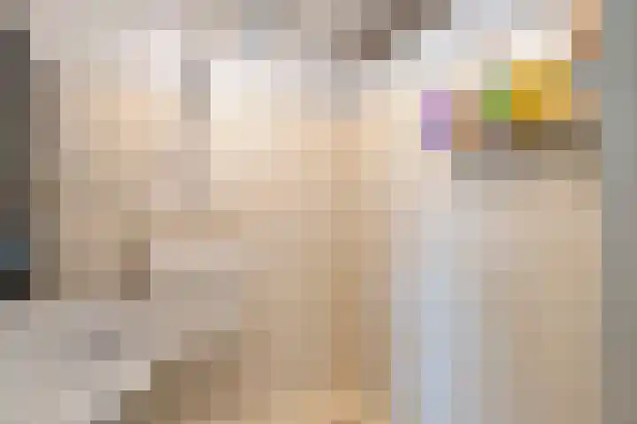 Rijksweg 38 Uffelte thumbnail 29