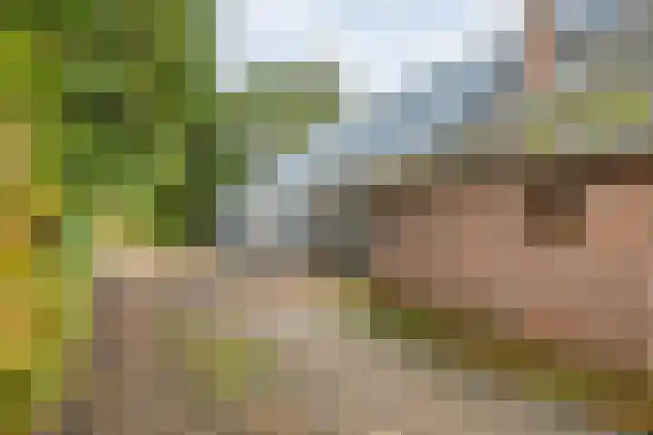 Rijksweg 38 Uffelte thumbnail 34