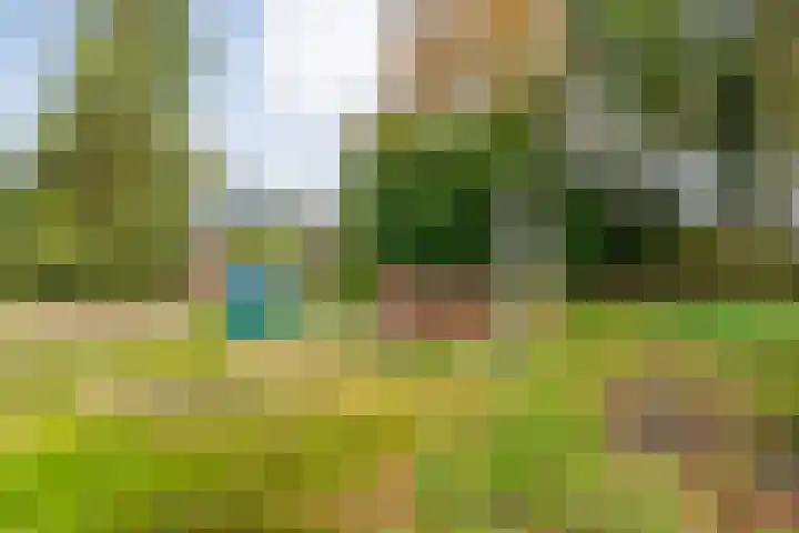 Rijksweg 38 Uffelte thumbnail 37