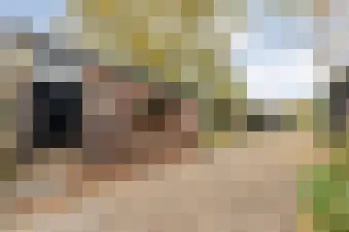 Rijksweg 38 Uffelte thumbnail 39
