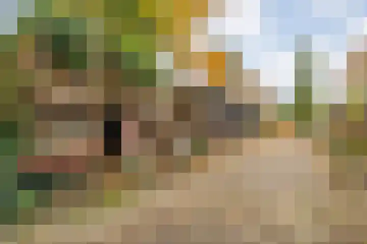 Rijksweg 38 Uffelte thumbnail 40