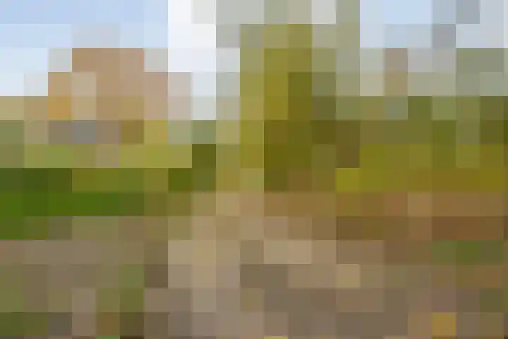 Rijksweg 38 Uffelte thumbnail 42