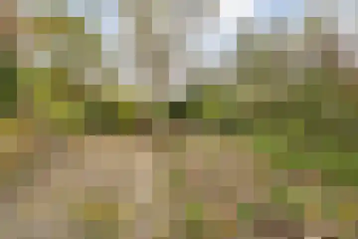 Rijksweg 38 Uffelte thumbnail 43