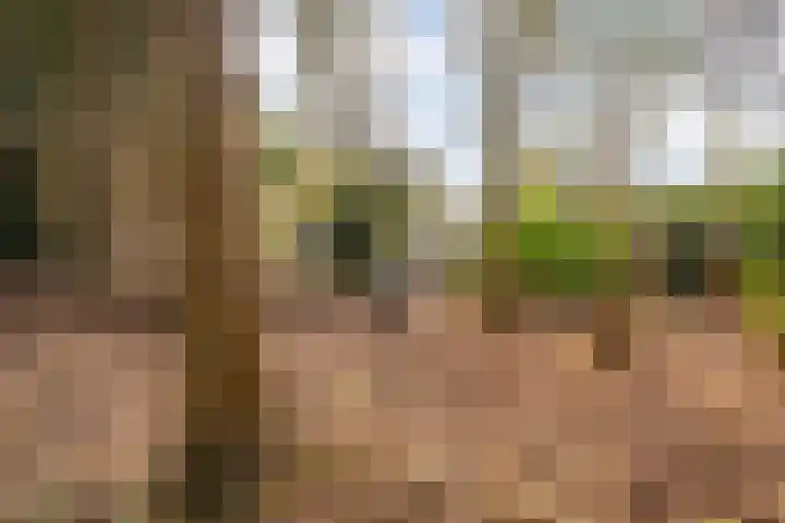 Rijksweg 38 Uffelte thumbnail 44