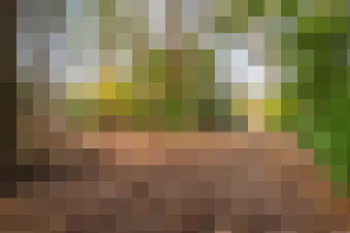 Rijksweg 38 Uffelte thumbnail 45