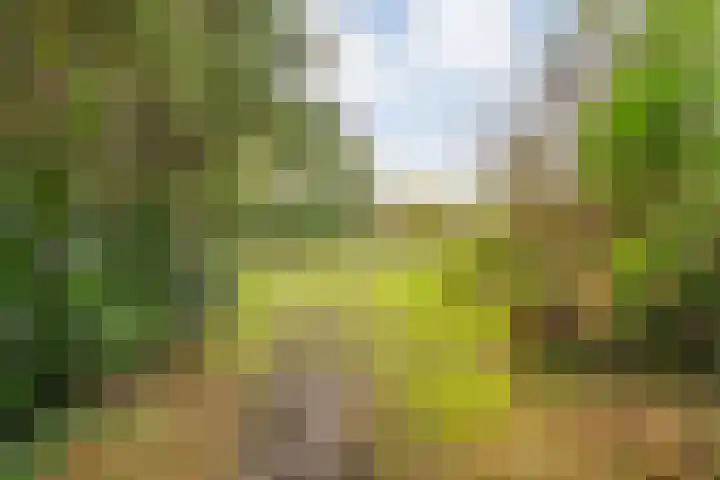 Rijksweg 38 Uffelte thumbnail 46