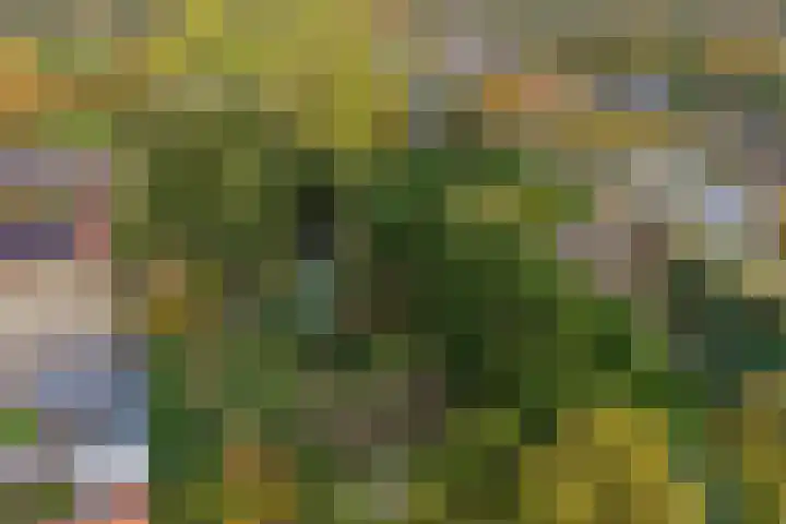 Rijksweg 38 Uffelte thumbnail 5