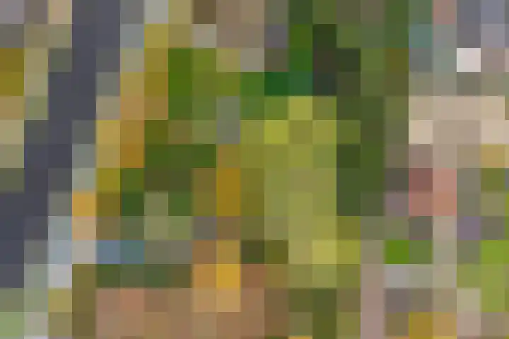 Rijksweg 38 Uffelte thumbnail 8