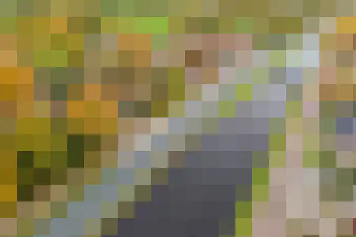 Rijksweg 38 Uffelte thumbnail 9