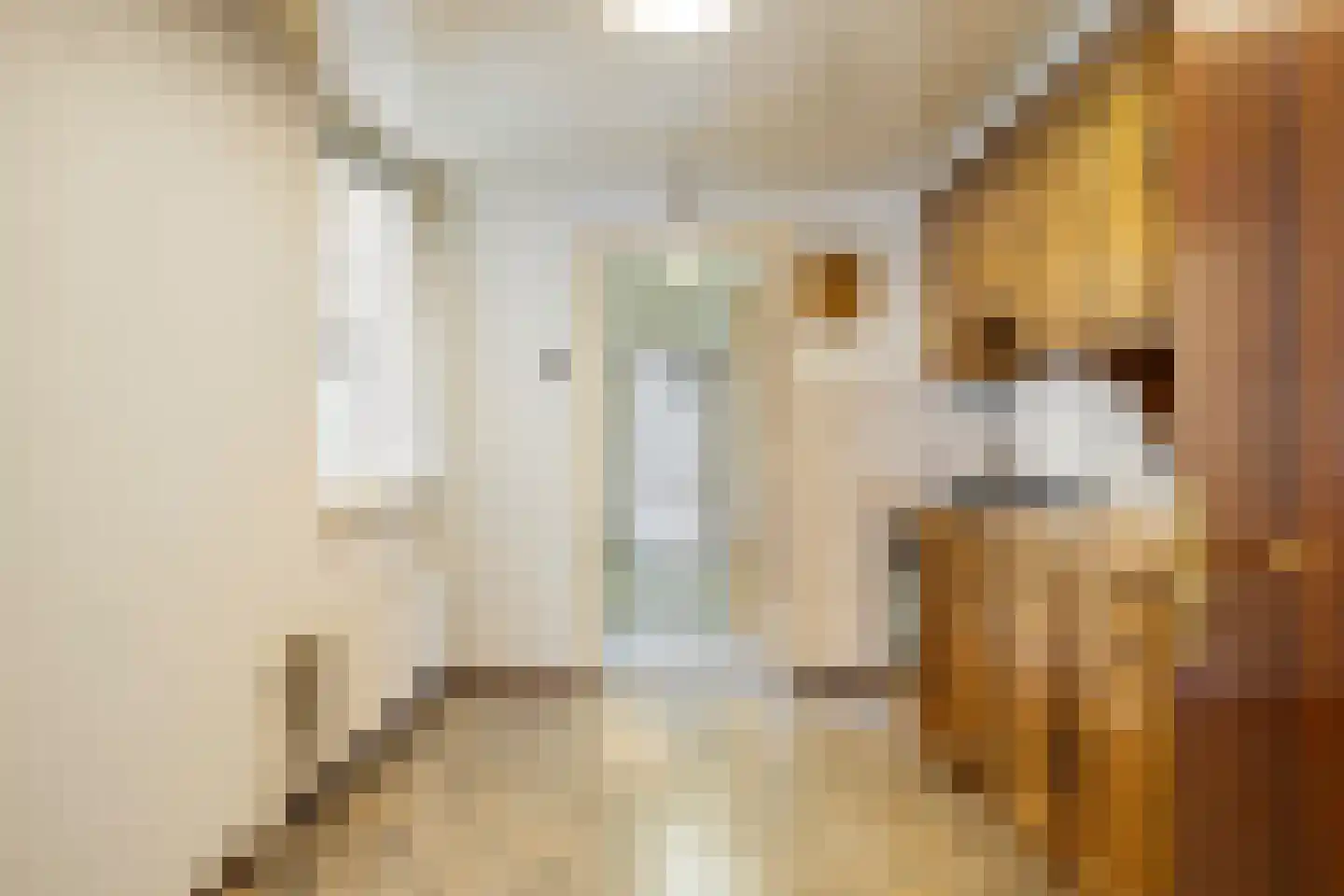 Rijksweg 39 Maastricht thumbnail 12
