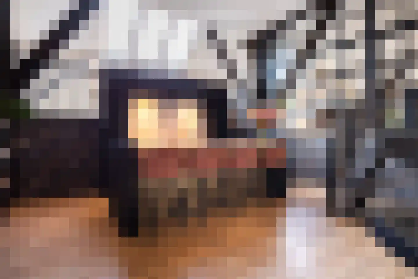 Rijksweg 4 B Herbaijum thumbnail 10