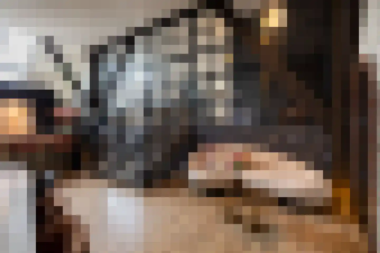 Rijksweg 4 B Herbaijum thumbnail 12