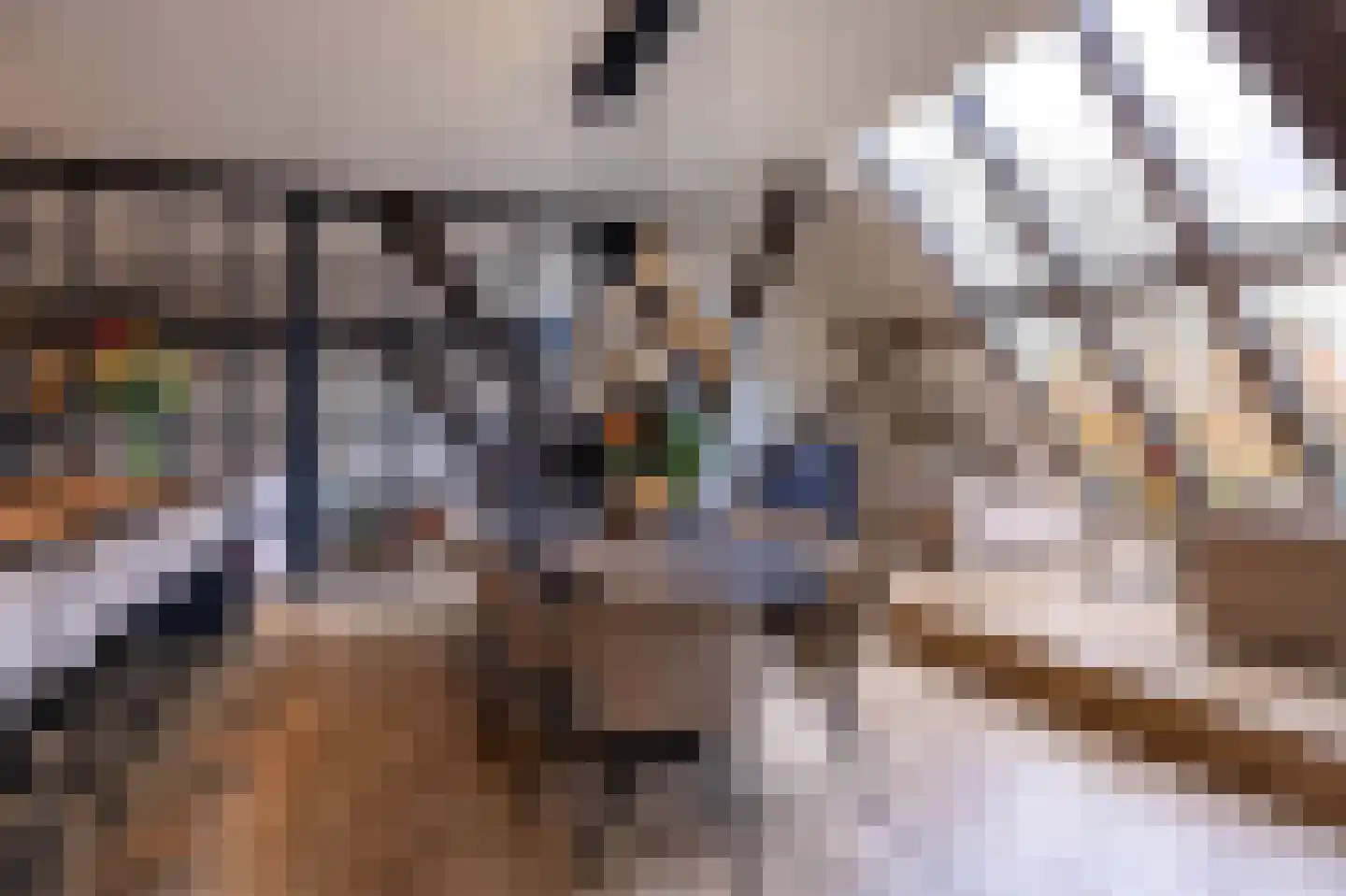 Rijksweg 4 B Herbaijum thumbnail 14