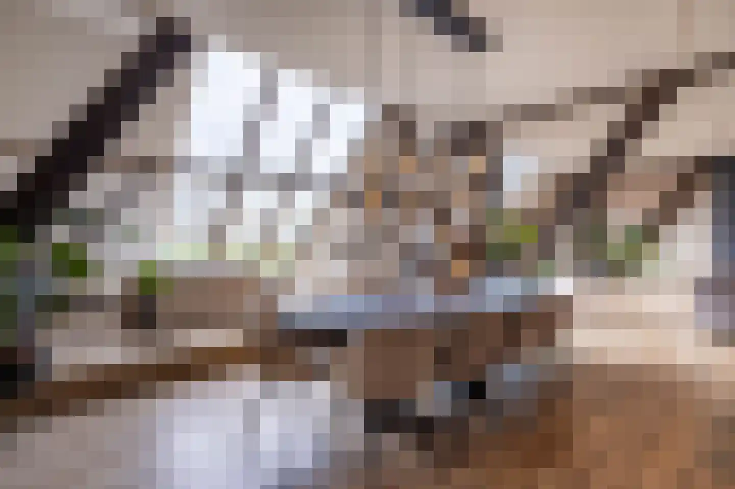 Rijksweg 4 B Herbaijum thumbnail 19