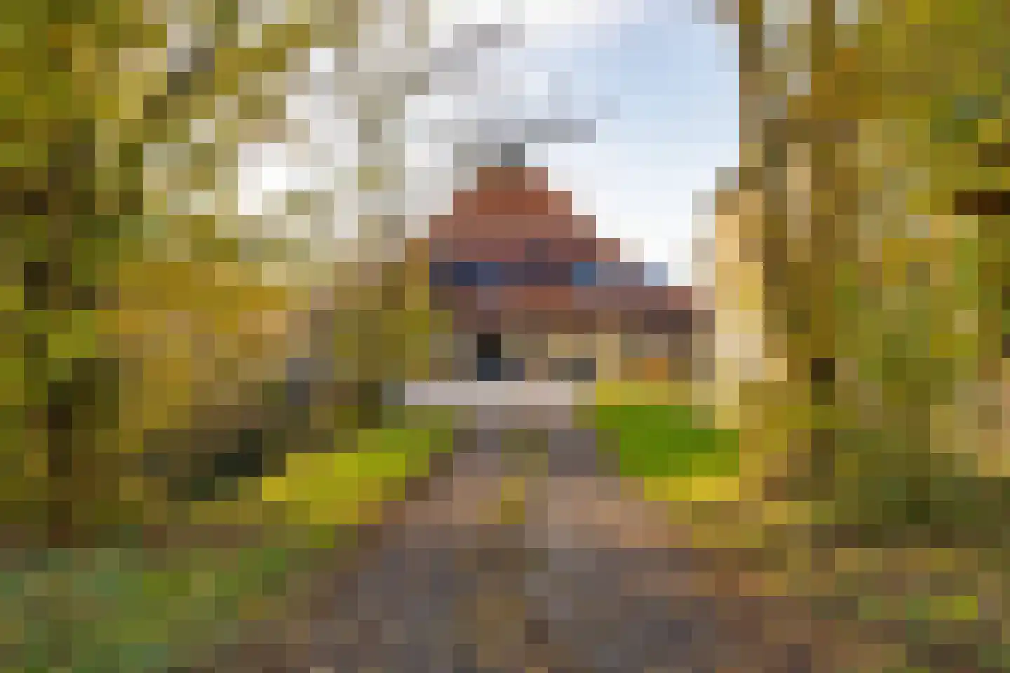 Rijksweg 4 B Herbaijum foto 2