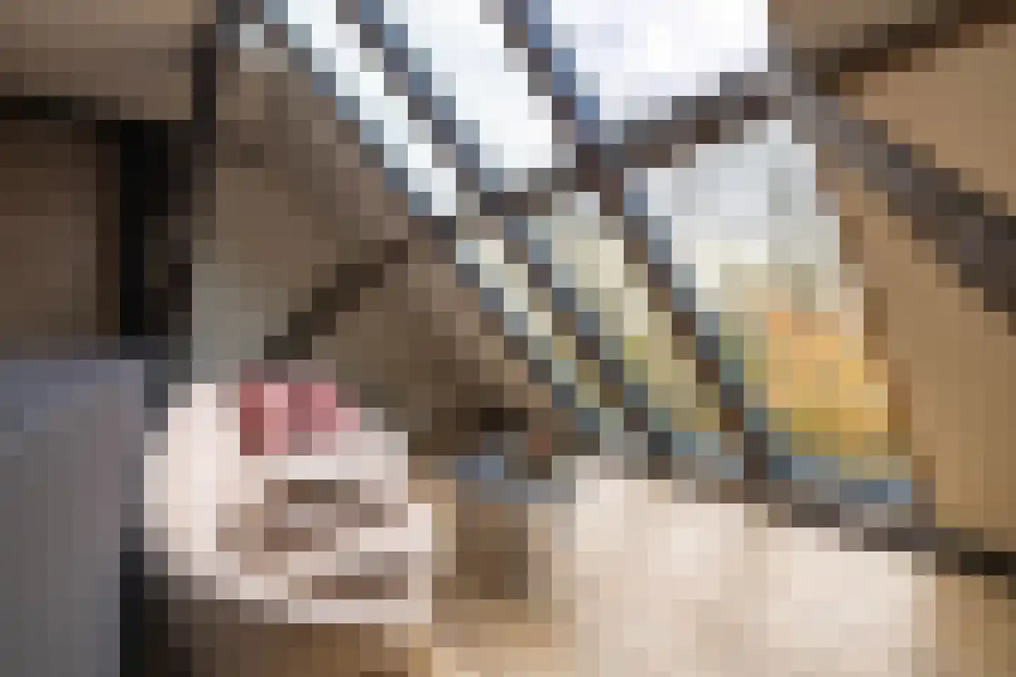 Rijksweg 4 B Herbaijum thumbnail 20