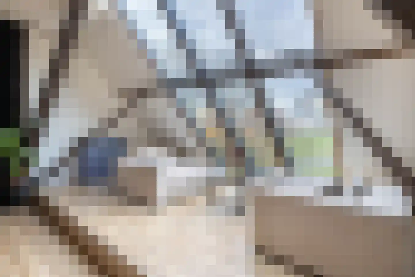 Rijksweg 4 B Herbaijum thumbnail 21