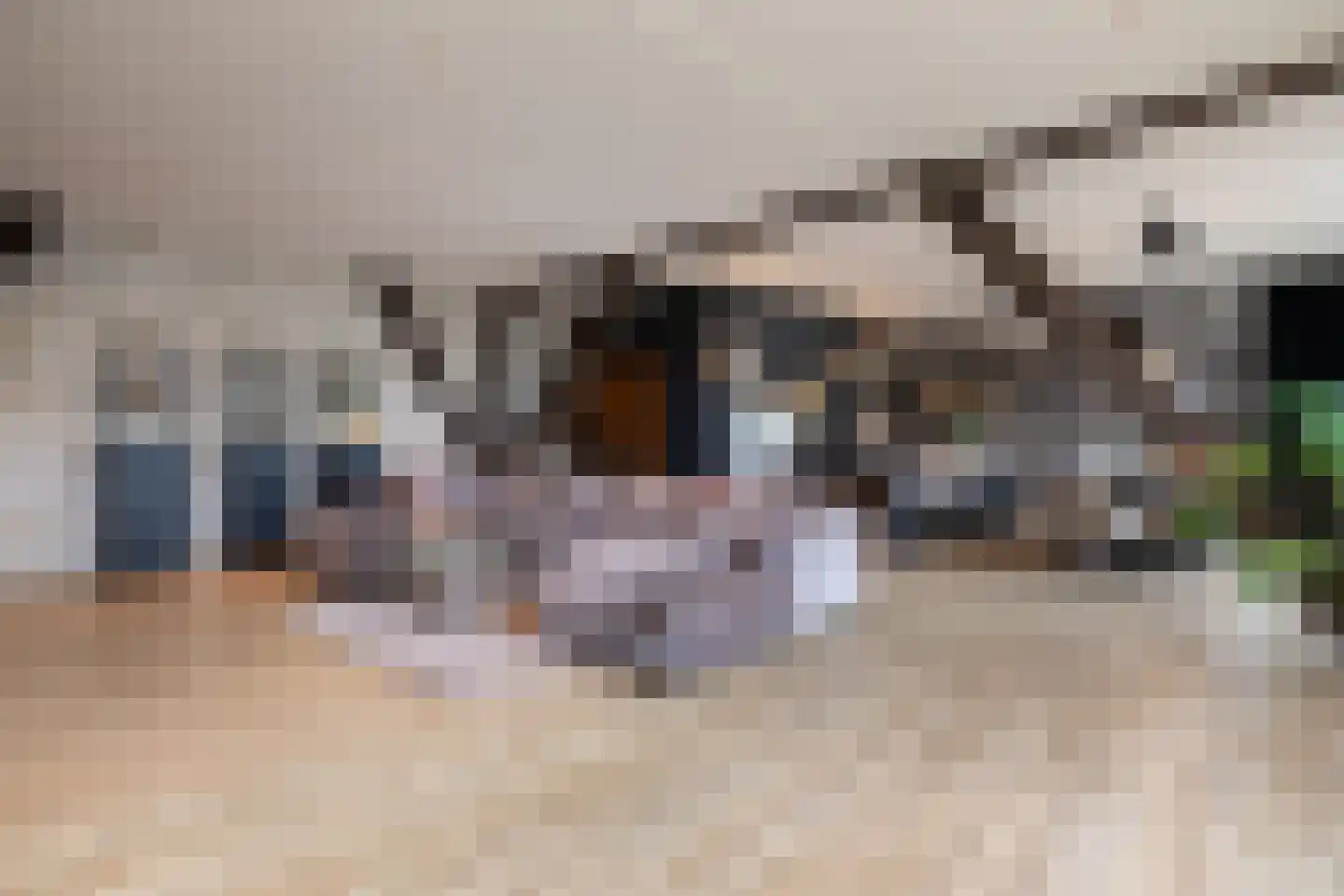Rijksweg 4 B Herbaijum thumbnail 22