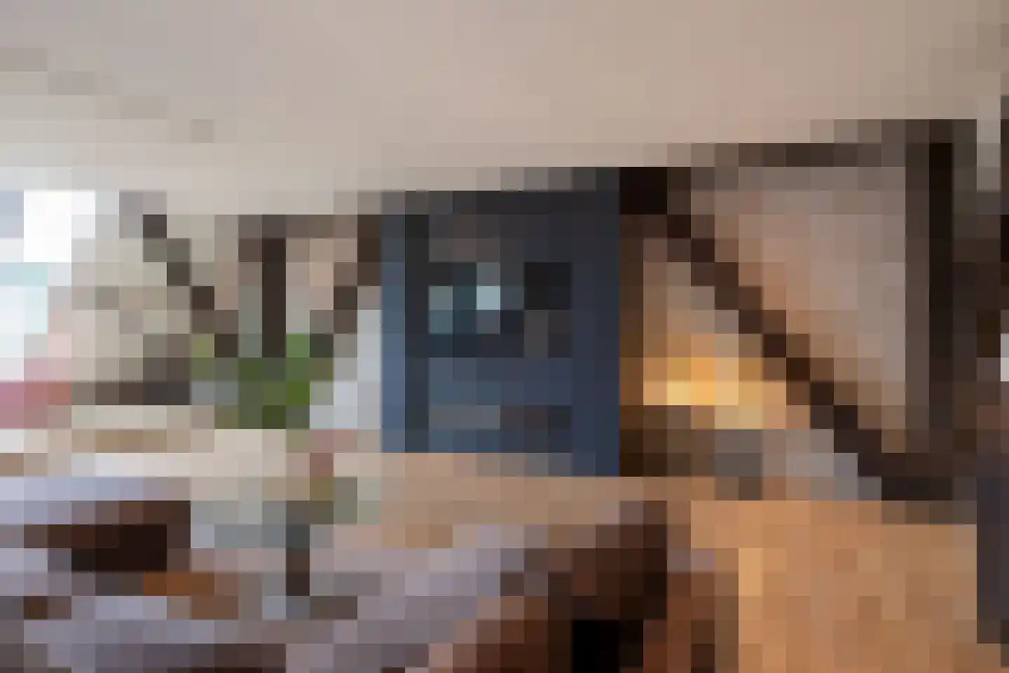 Rijksweg 4 B Herbaijum thumbnail 25