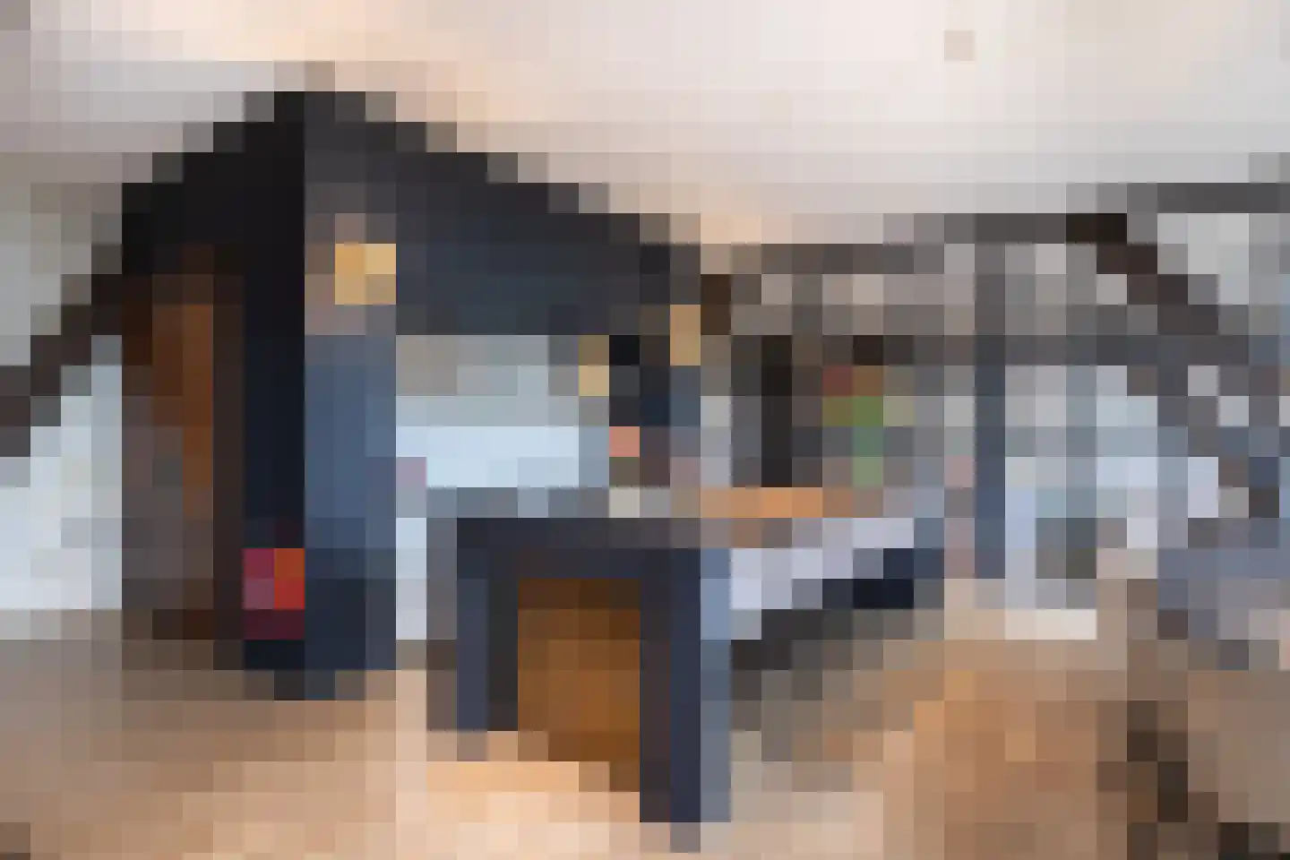 Rijksweg 4 B Herbaijum thumbnail 26