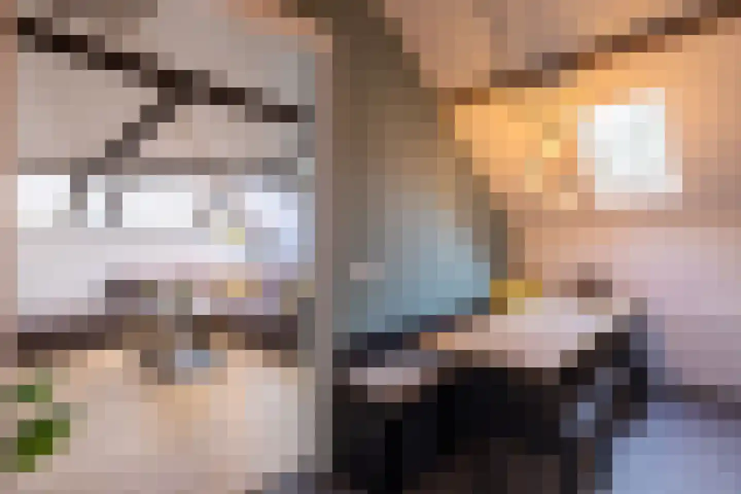 Rijksweg 4 B Herbaijum thumbnail 33