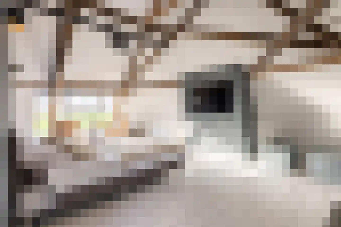 Rijksweg 4 B Herbaijum thumbnail 37