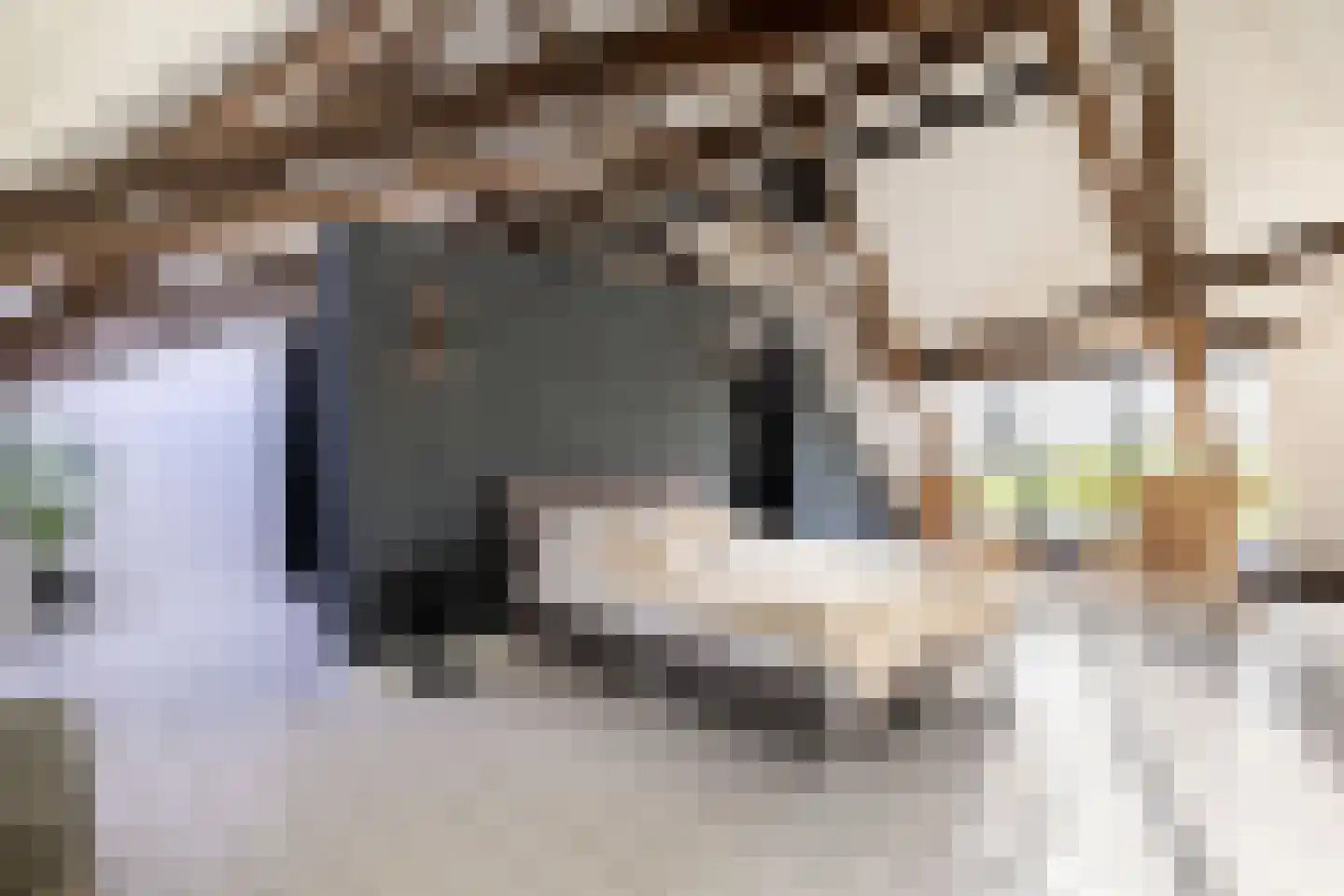 Rijksweg 4 B Herbaijum thumbnail 38