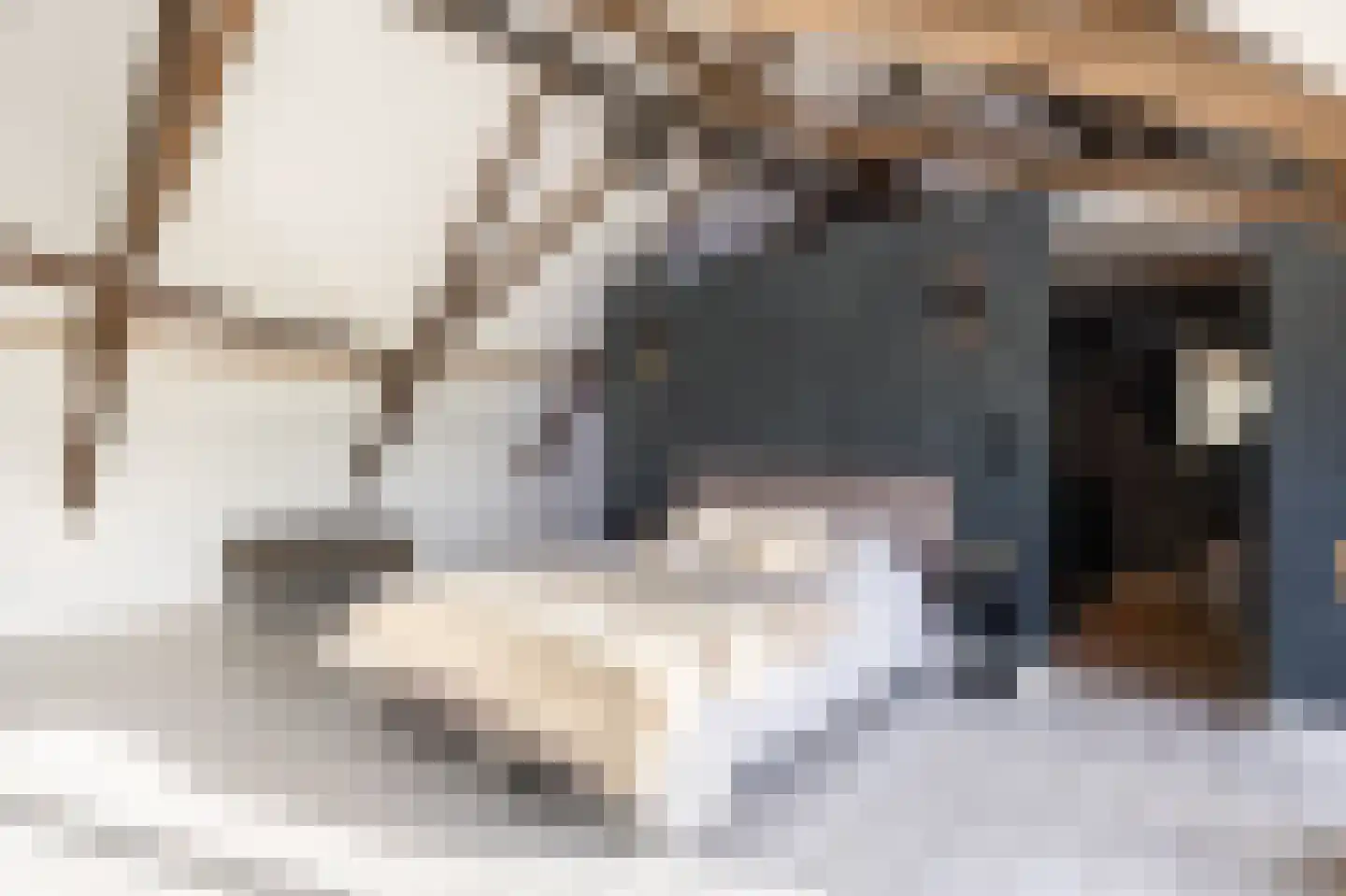 Rijksweg 4 B Herbaijum thumbnail 39